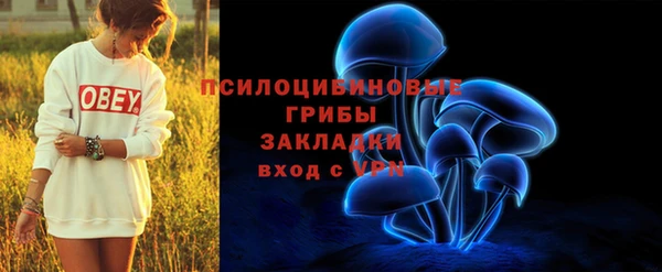 молекула духа Медногорск